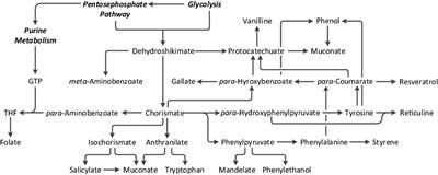 Metabolic Engineering of the Shikimate Pathway for Production of Aromatics and Derived Compounds—Present and Future Strain Construction Strategies